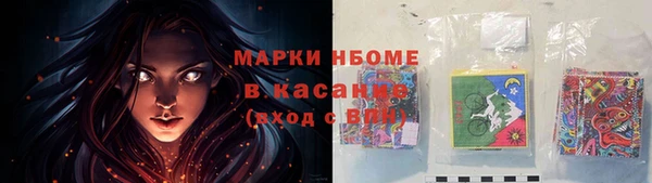 гашик Новозыбков
