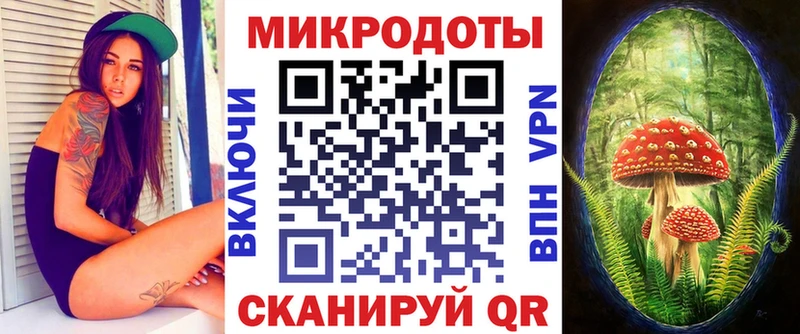 блэк спрут онион  Чернушка  Псилоцибиновые грибы Psilocybe 